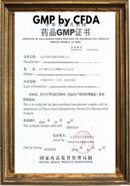 Guarana Pouches,Guarana Energy Pouches,Guarana Pouch Manufacturer,White Label Guarana Pouches,Private brand Pouches